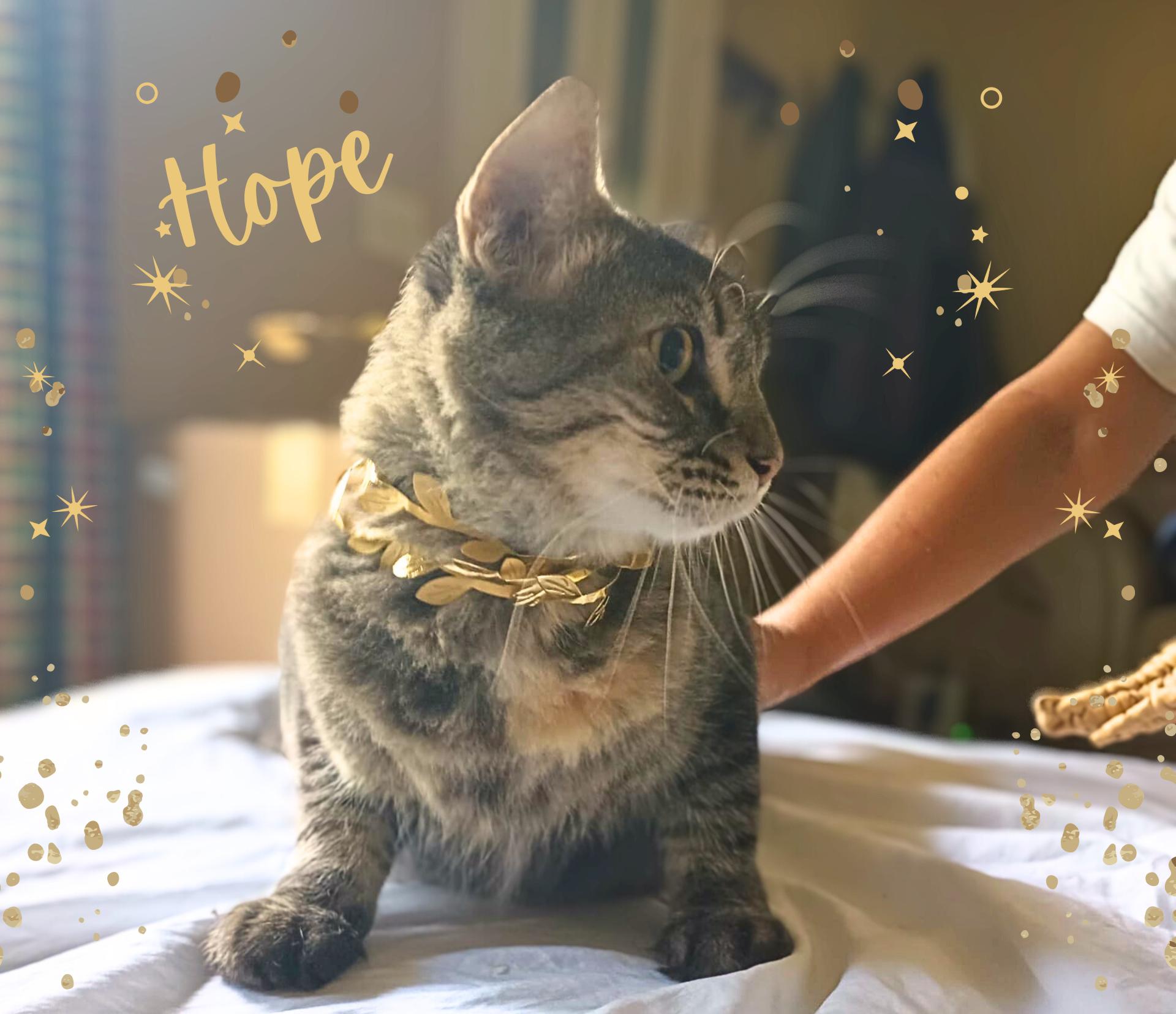 Hope photo 3