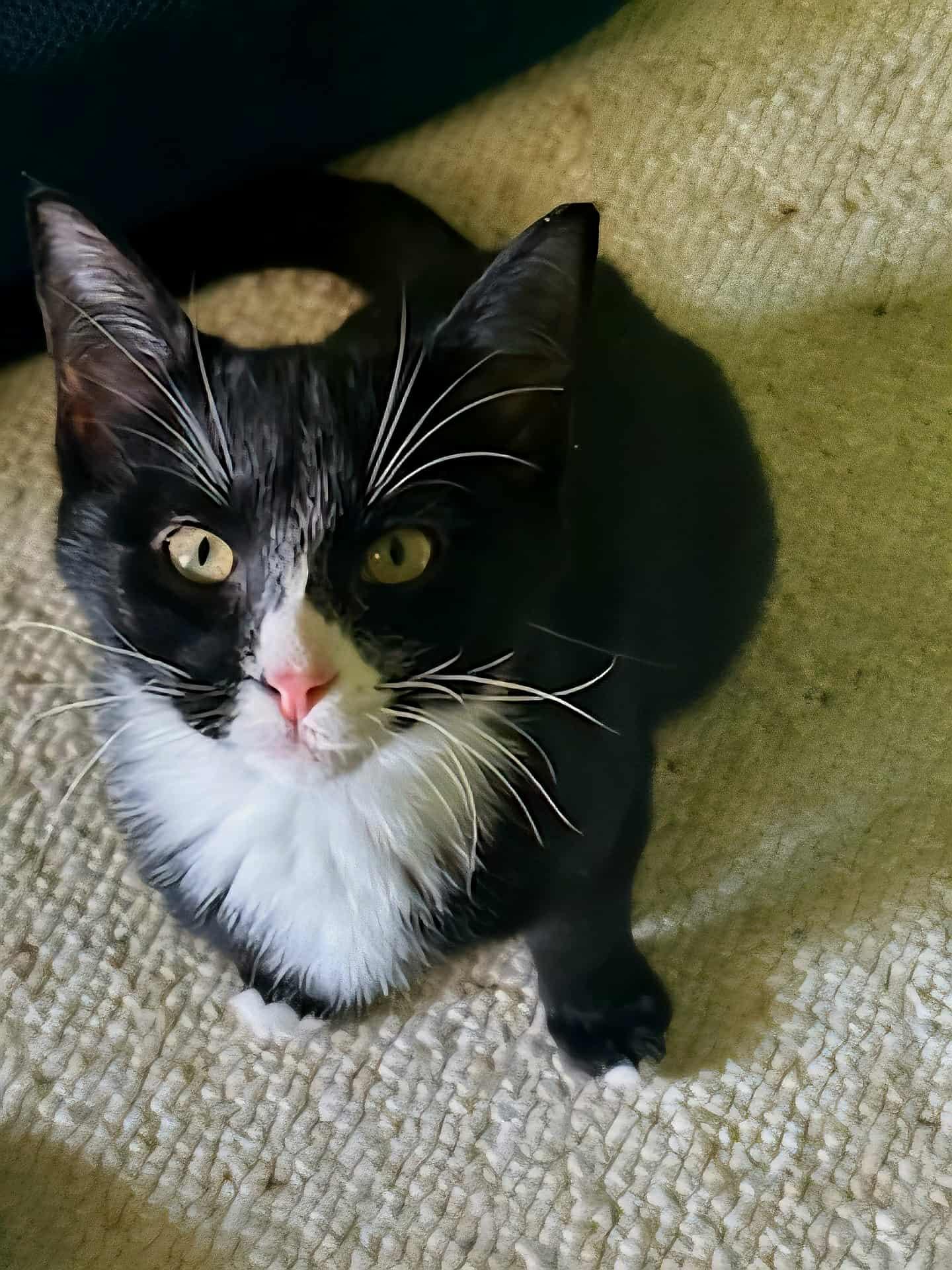 Pixel (153705)