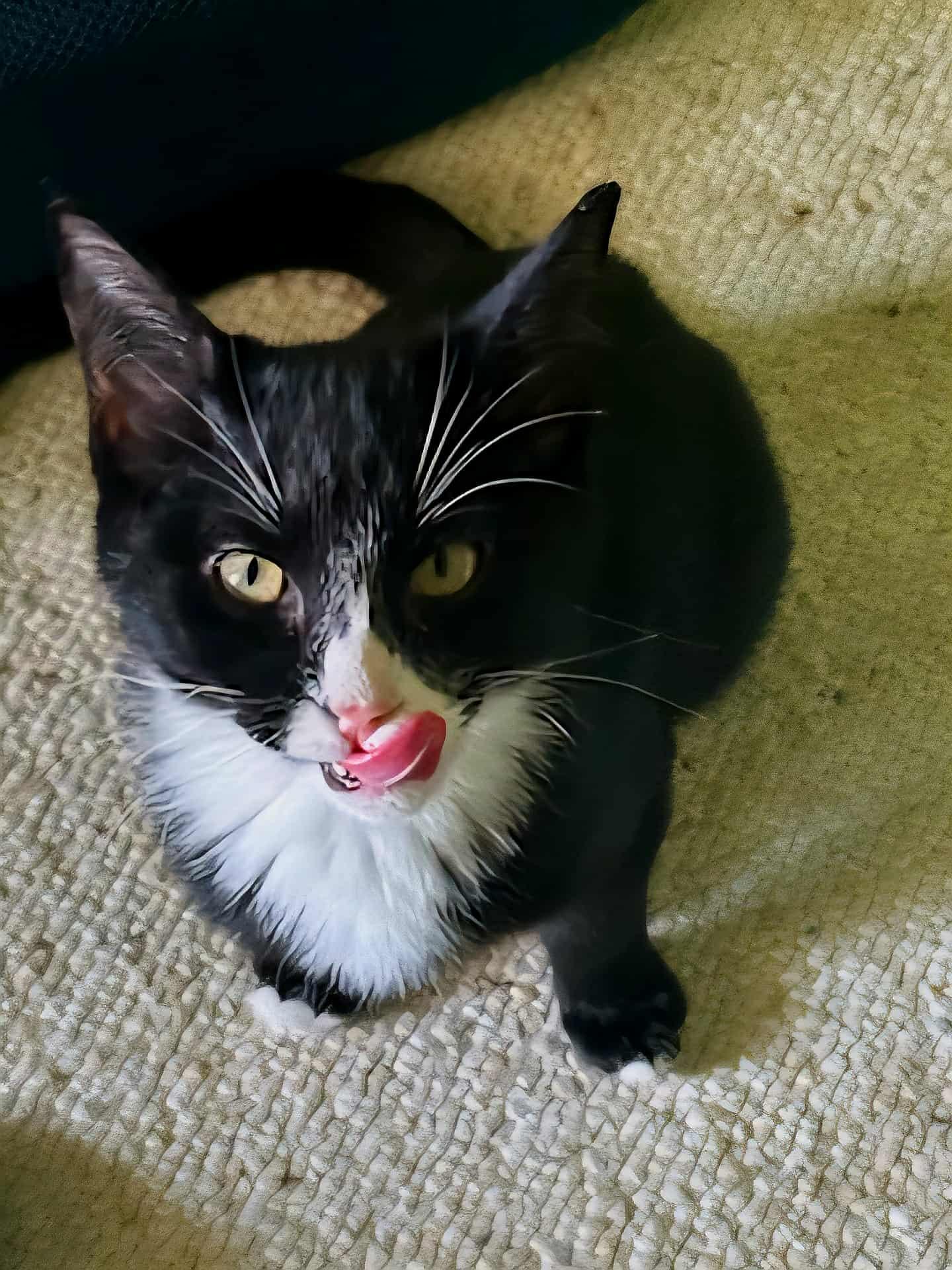 Pixel (153705)