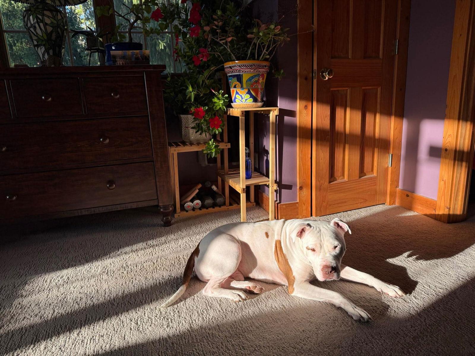 Doc Holiday thumbnail 4