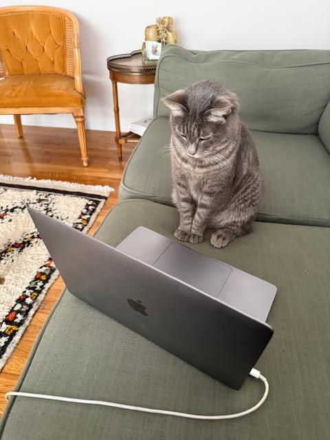 Gertie — thumbnail 4