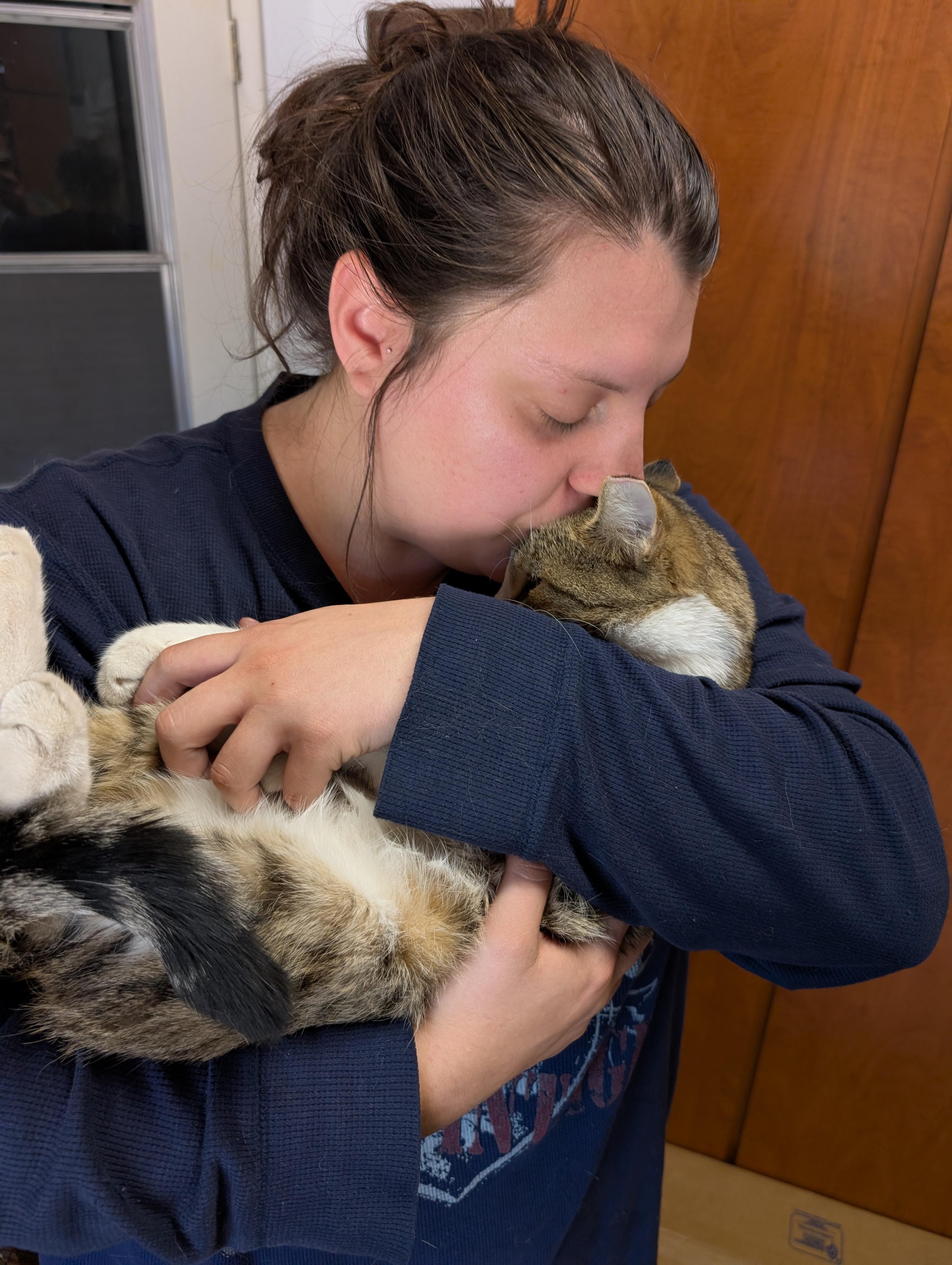 Enlarge Sir Charles , a ADOPTABLE Tabby in Phoenix, AZ image 6/6