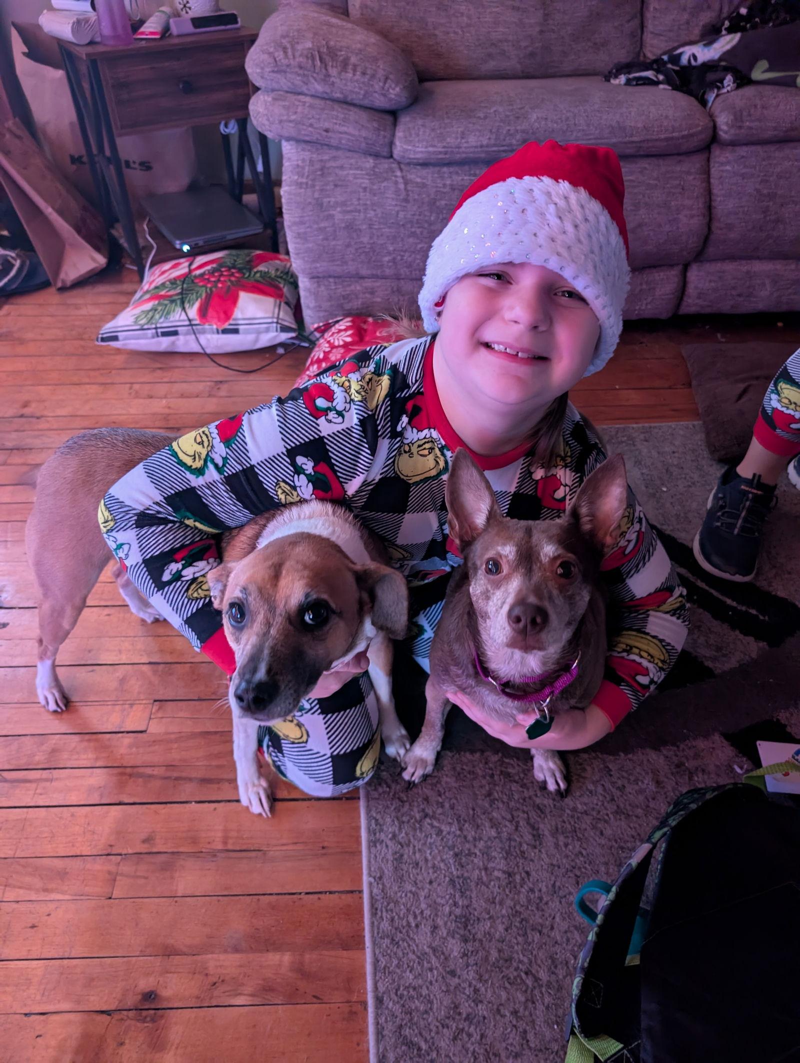 Enlarge Lil' Momma, a Adoptable Chihuahua in Tonawanda, NY image 3/3