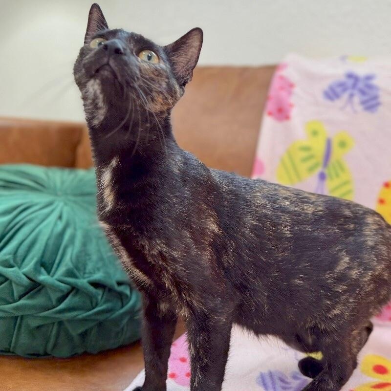 Eloise Leung — thumbnail 3