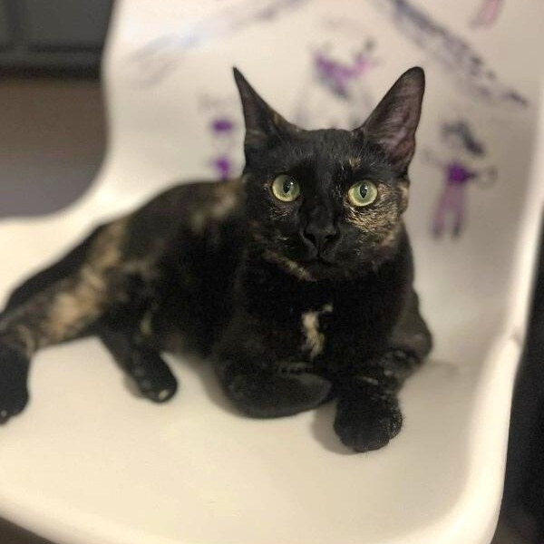 Eloise Leung — thumbnail 4