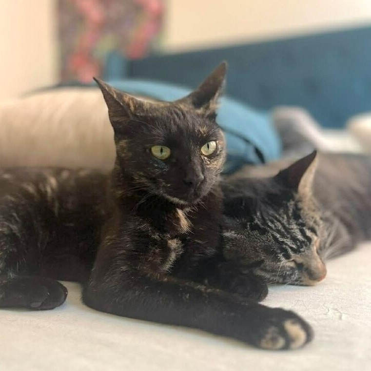 Eloise Leung — thumbnail 5