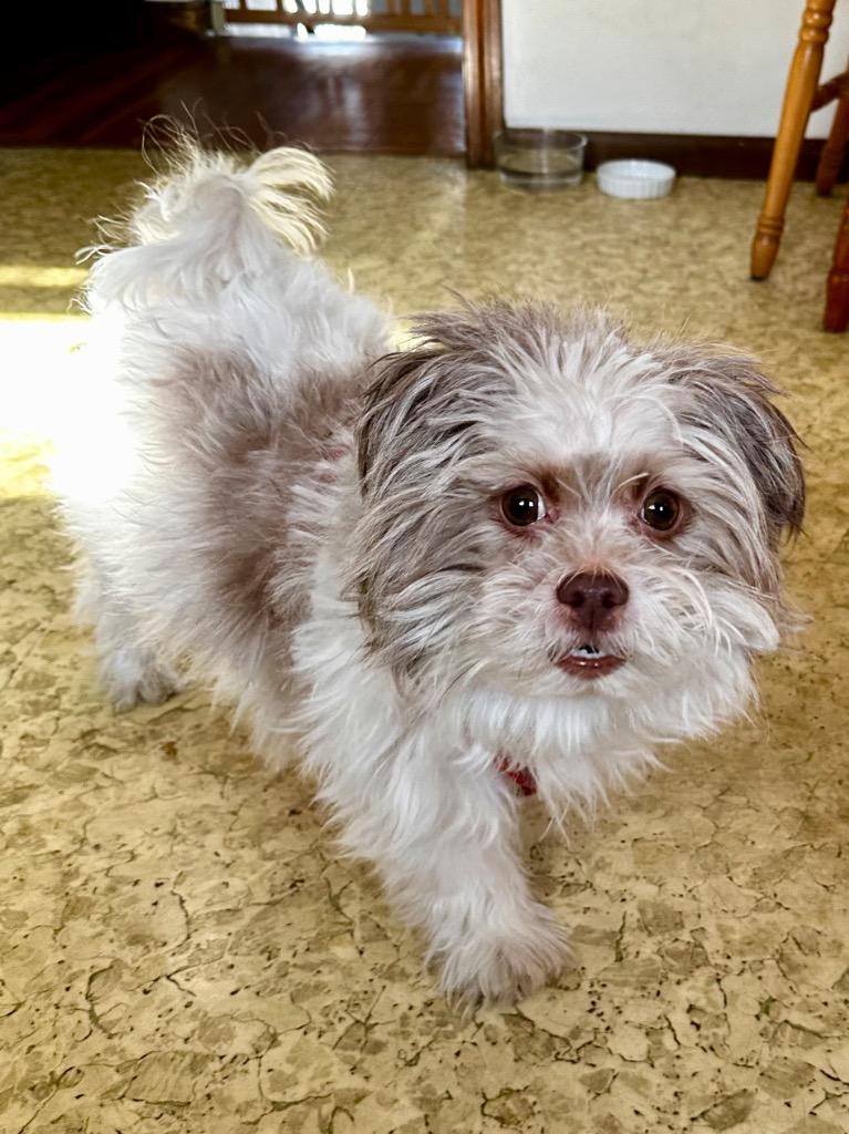 Panni  Special Needs