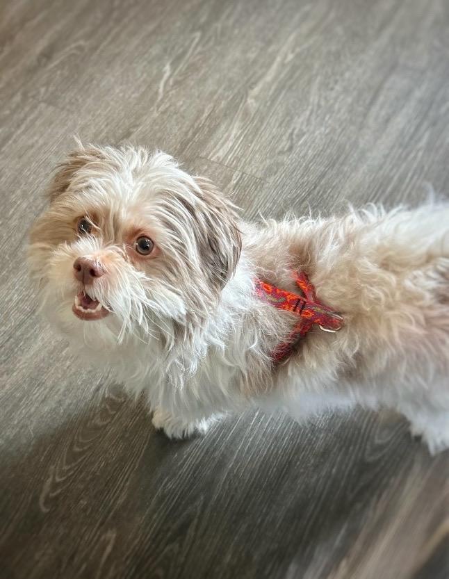 Panni  Special Needs thumbnail 2