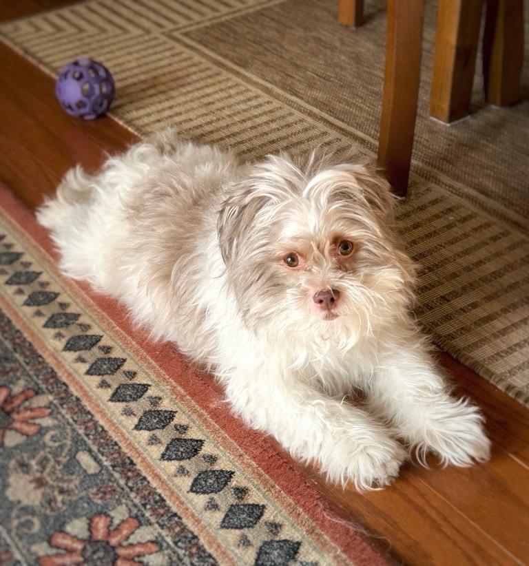 Panni  Special Needs thumbnail 3