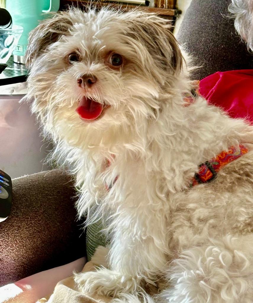 Panni  Special Needs thumbnail 4