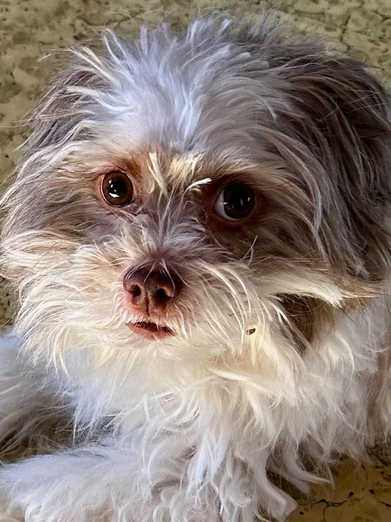 Panni  Special Needs thumbnail 5