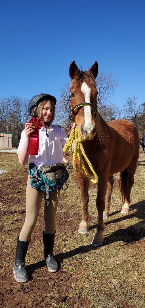 Enlarge Frida Kahlo, a Adoptable Mustang in Willard, MO image 3/6