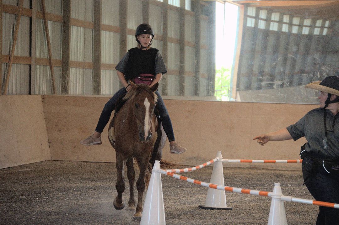 Enlarge Frida Kahlo, a Adoptable Mustang in Willard, MO image 6/6