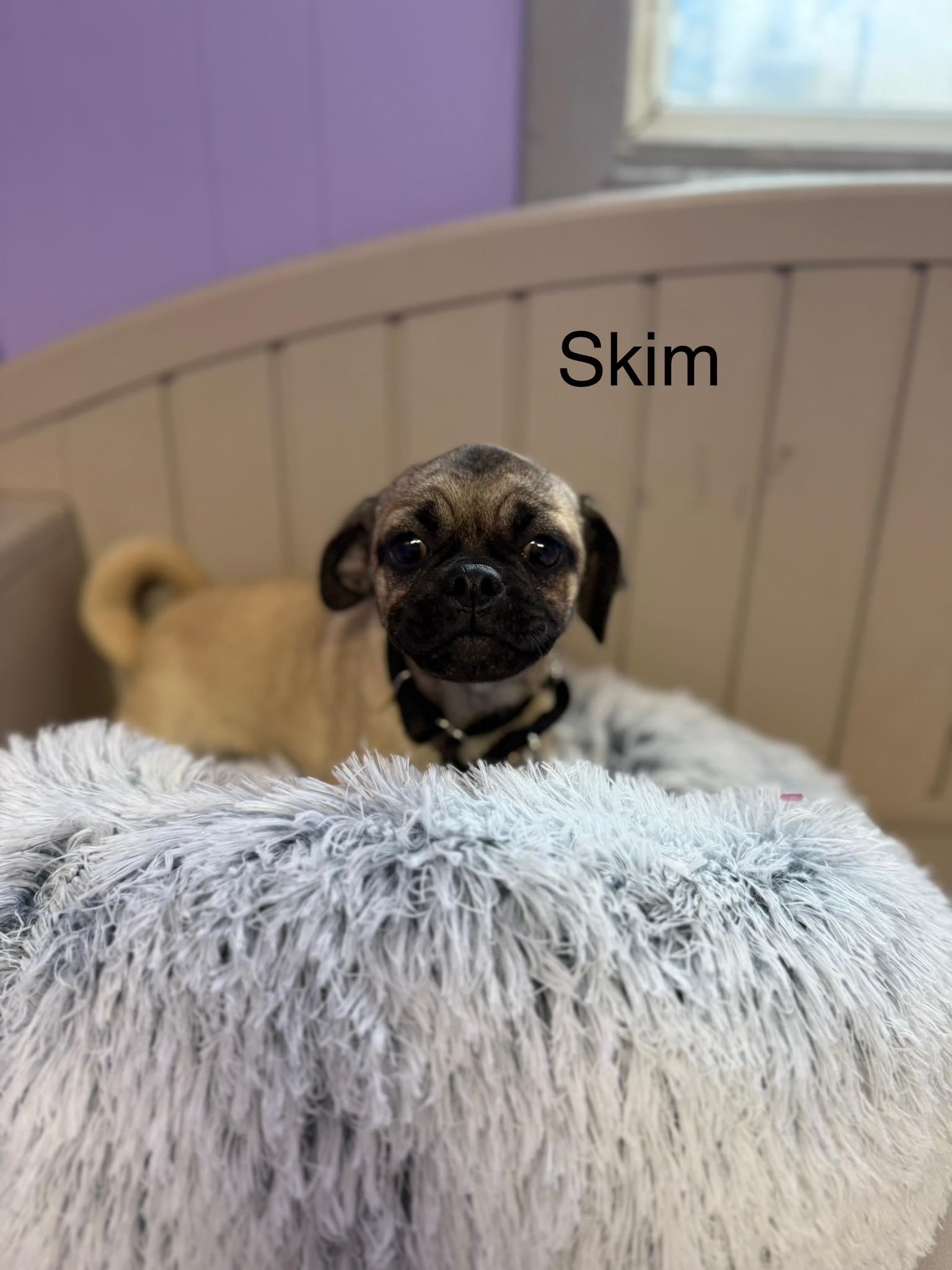 Skim