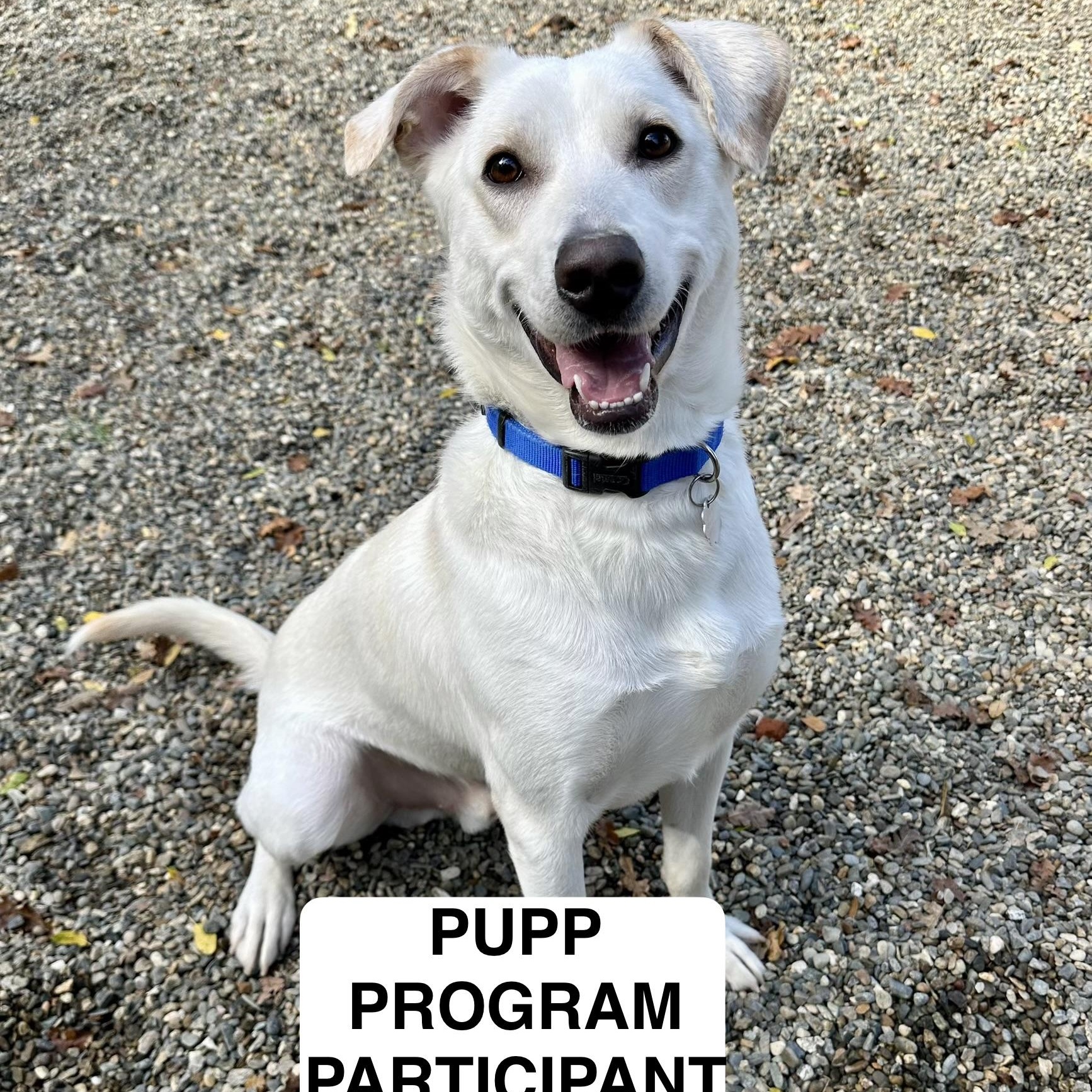 Goober 0125 — thumbnail 5