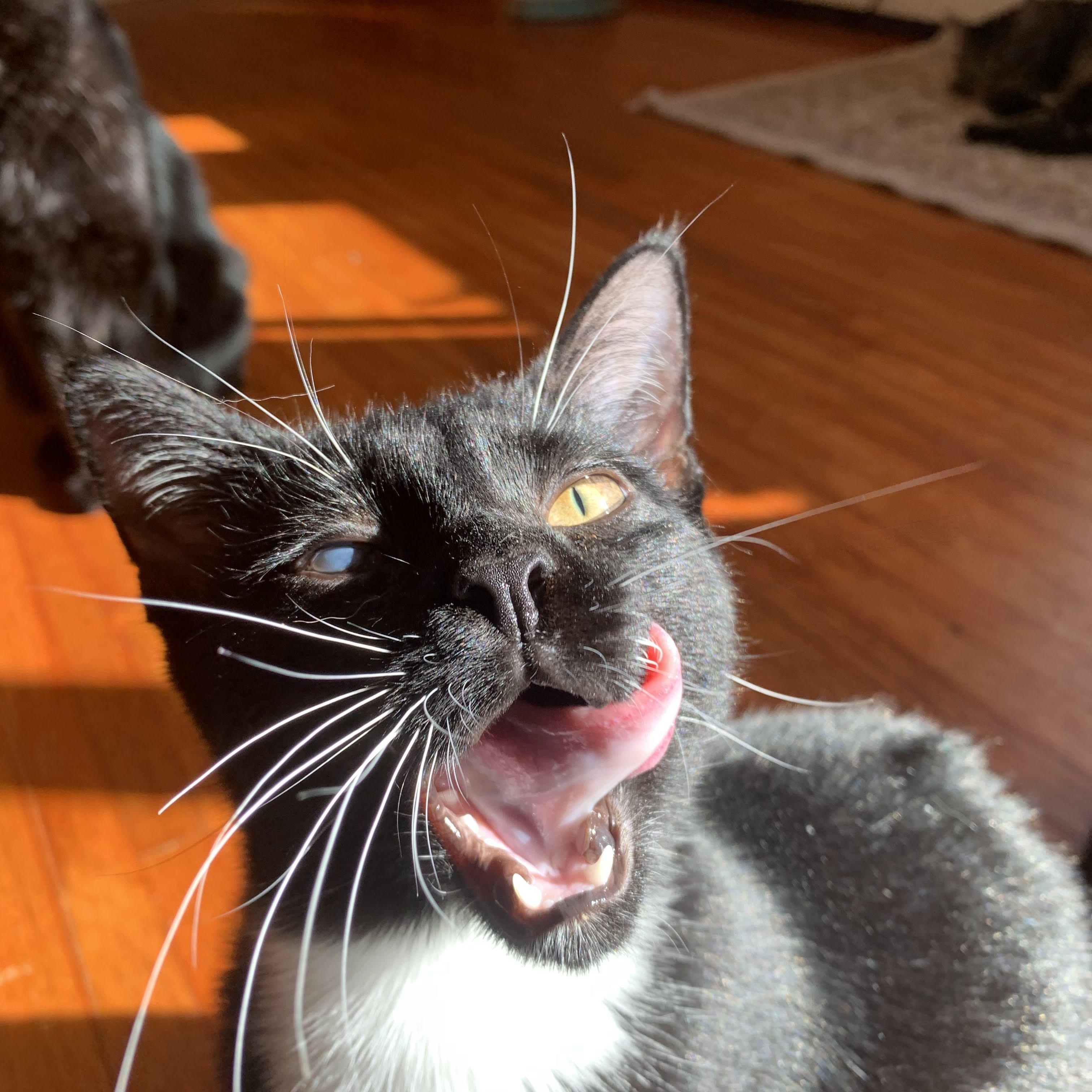 Issac & Ivan — thumbnail 2