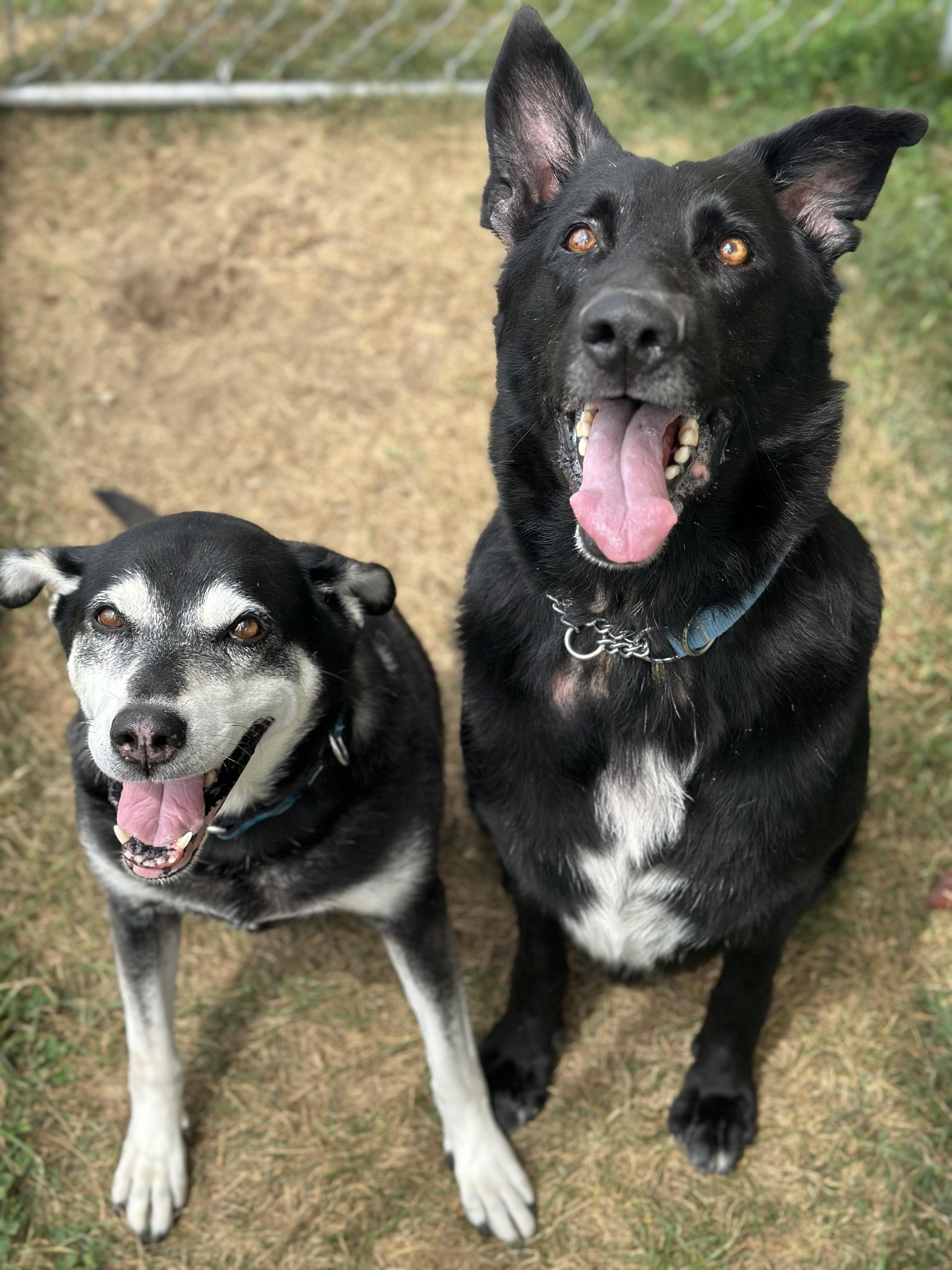 Pearl + Earl, Senior Female unknown