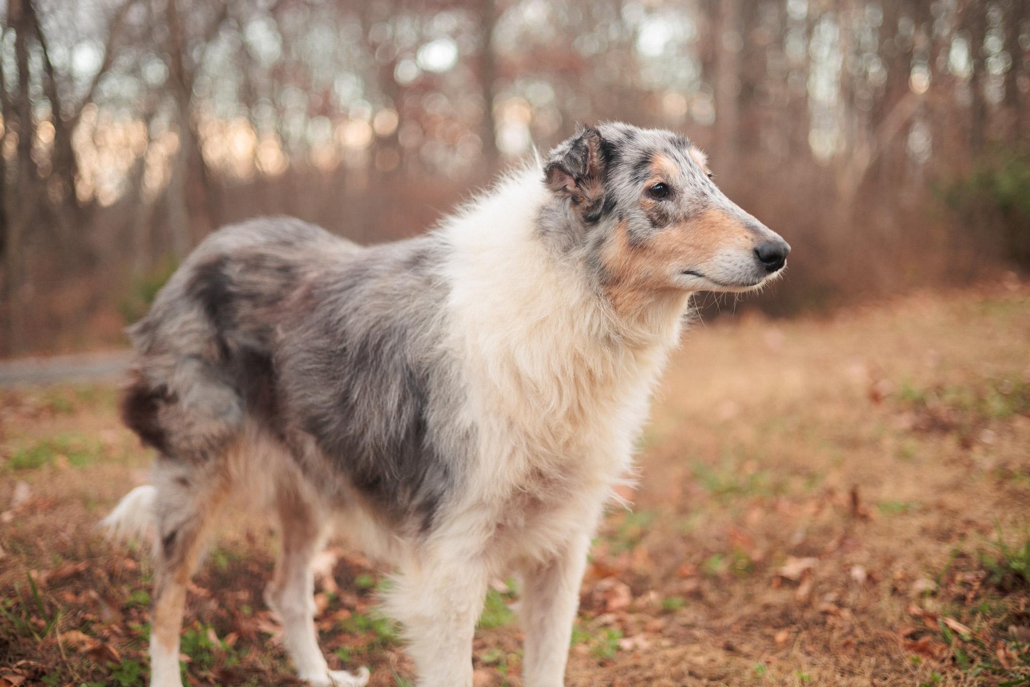 Roxy Grace - Transport — thumbnail 2