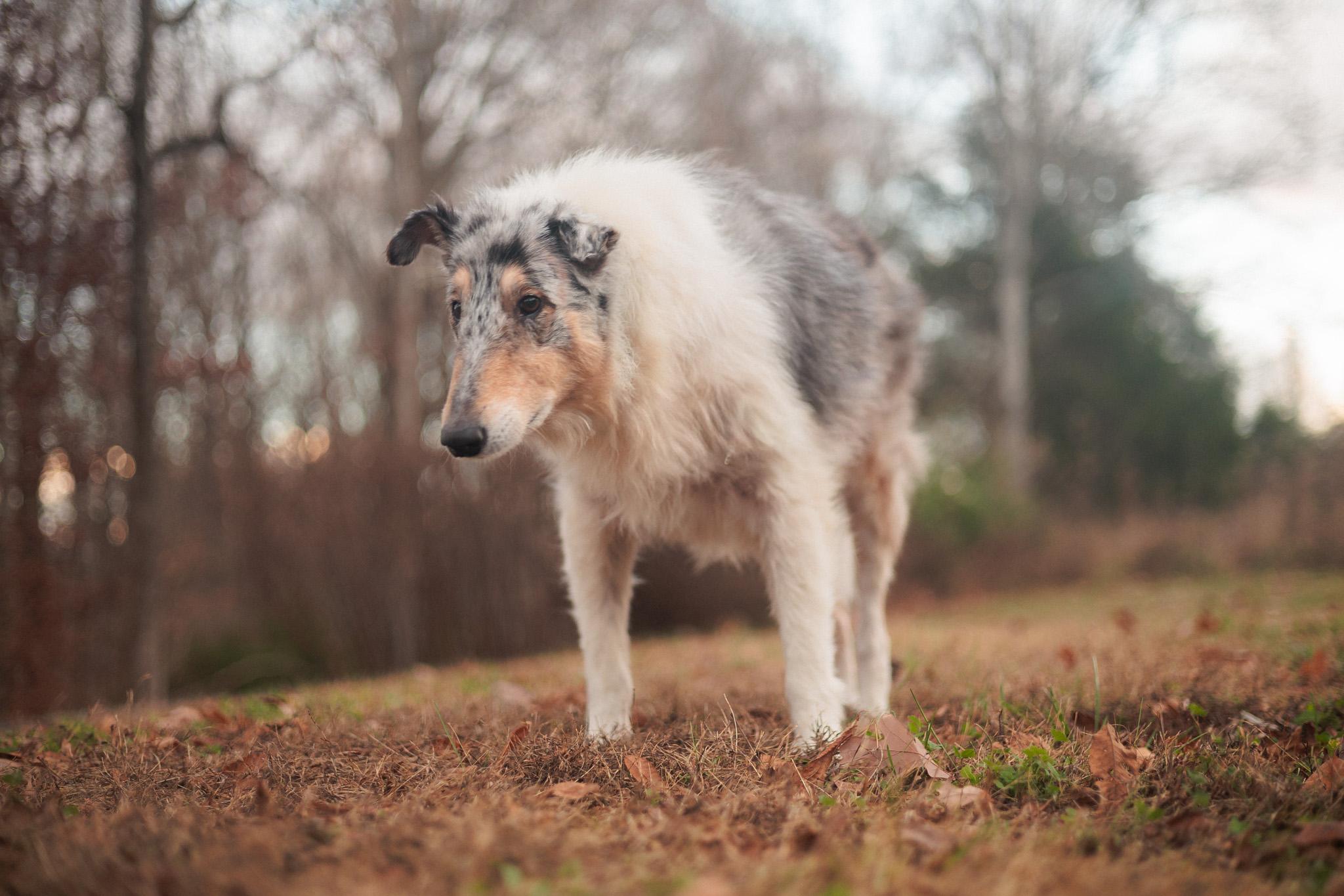 Roxy Grace - Transport — thumbnail 3