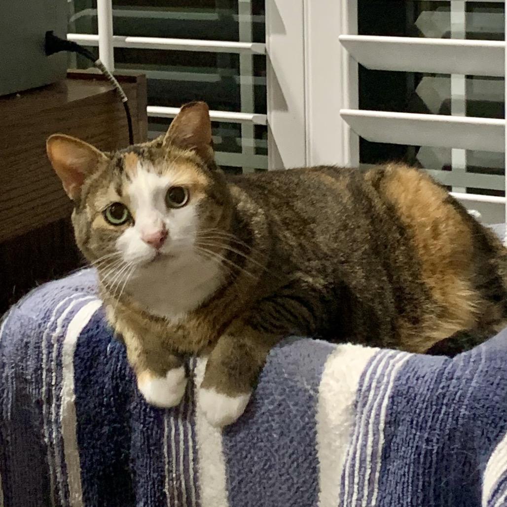 Lucy — thumbnail 2