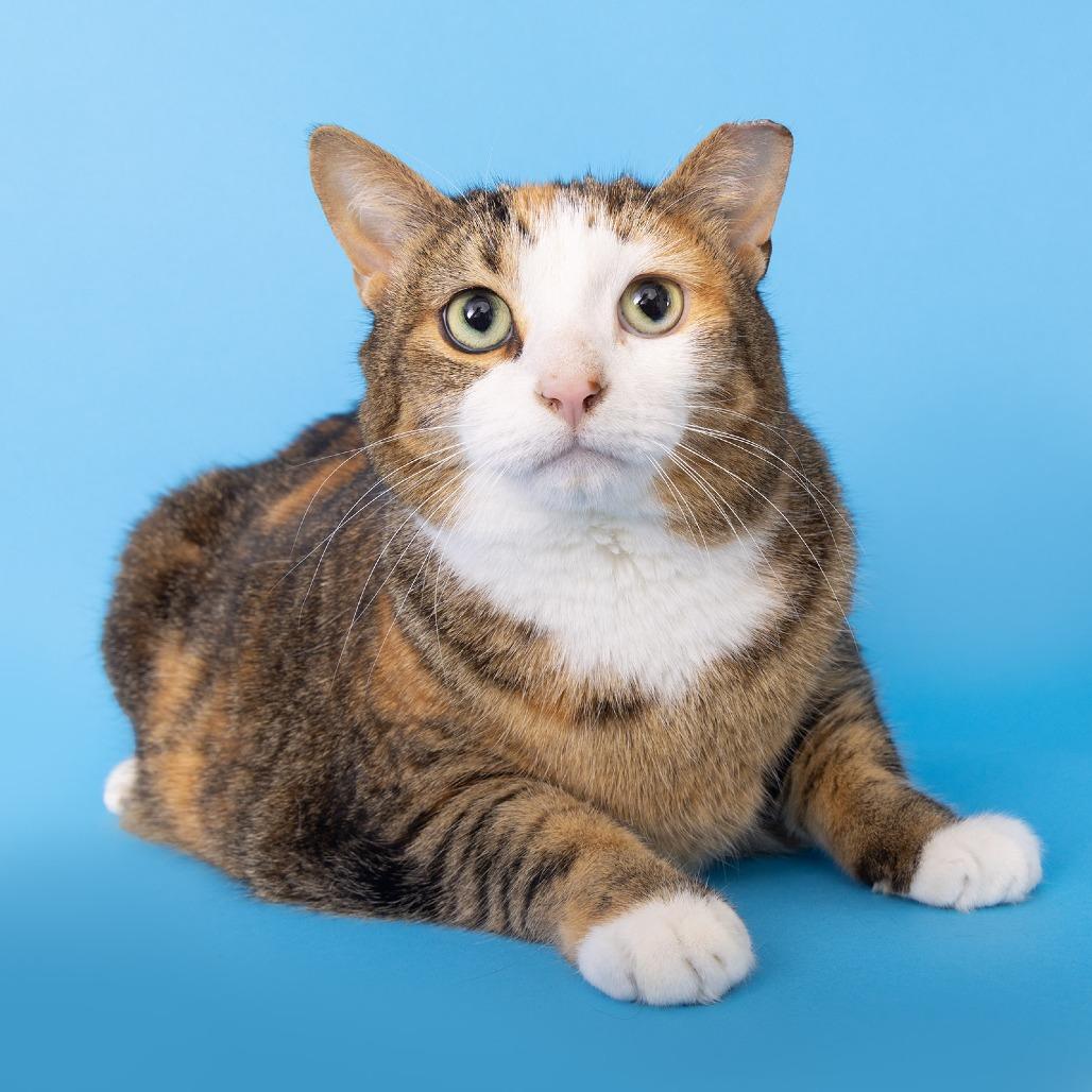 Lucy — thumbnail 3