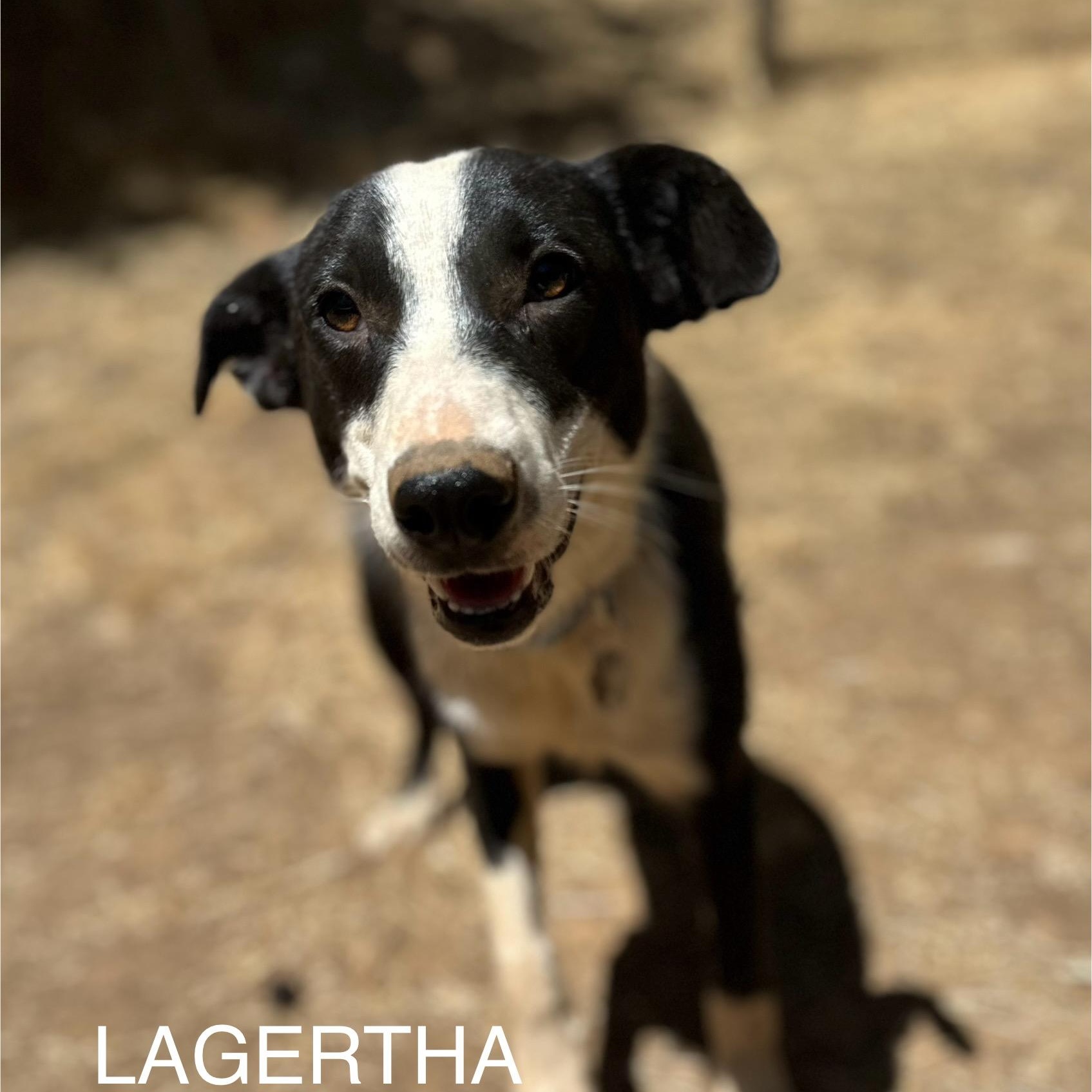 Lagertha