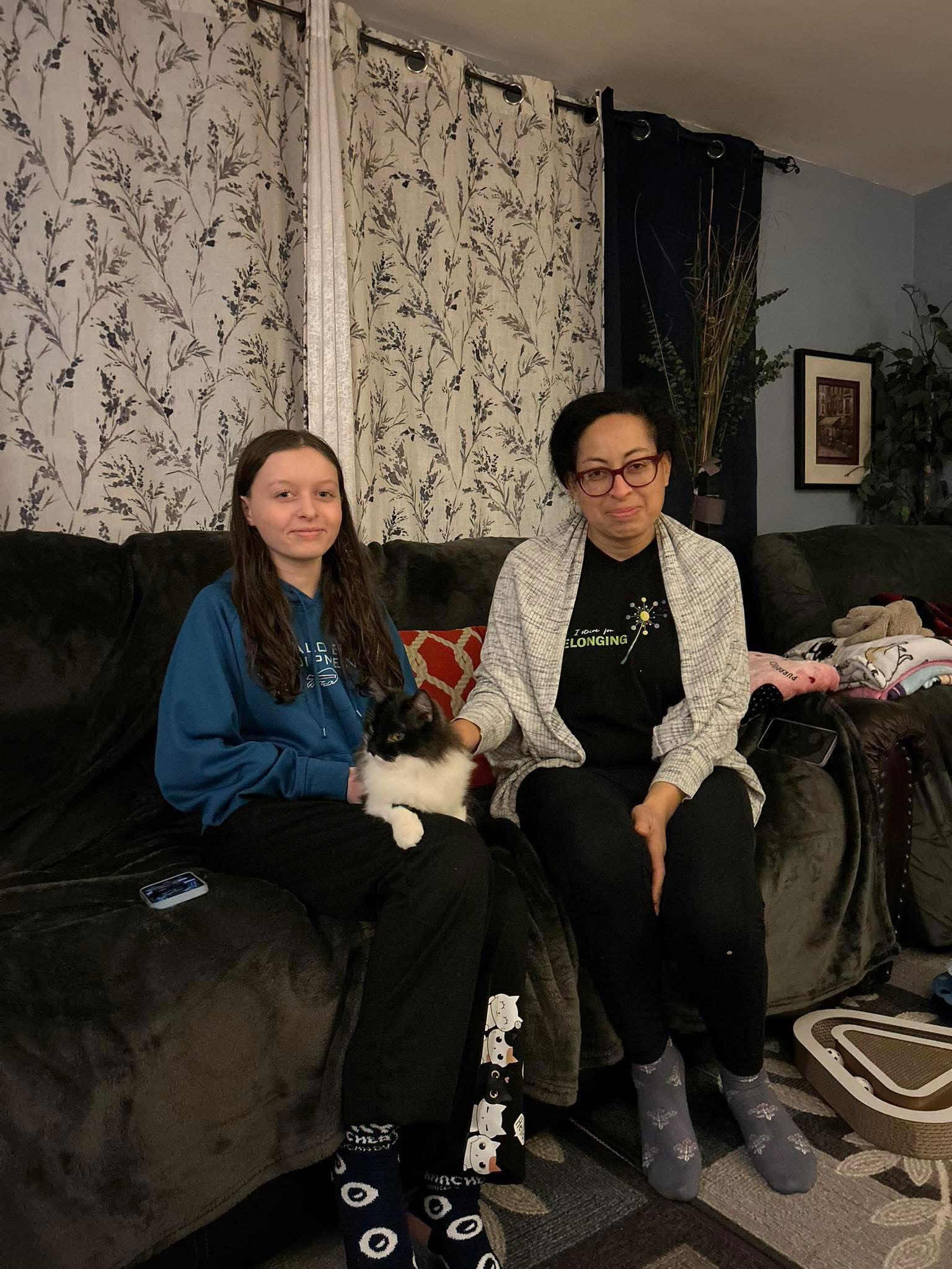 Thomas O'Malley, Adopted, Young Male Domestic Long Hair.