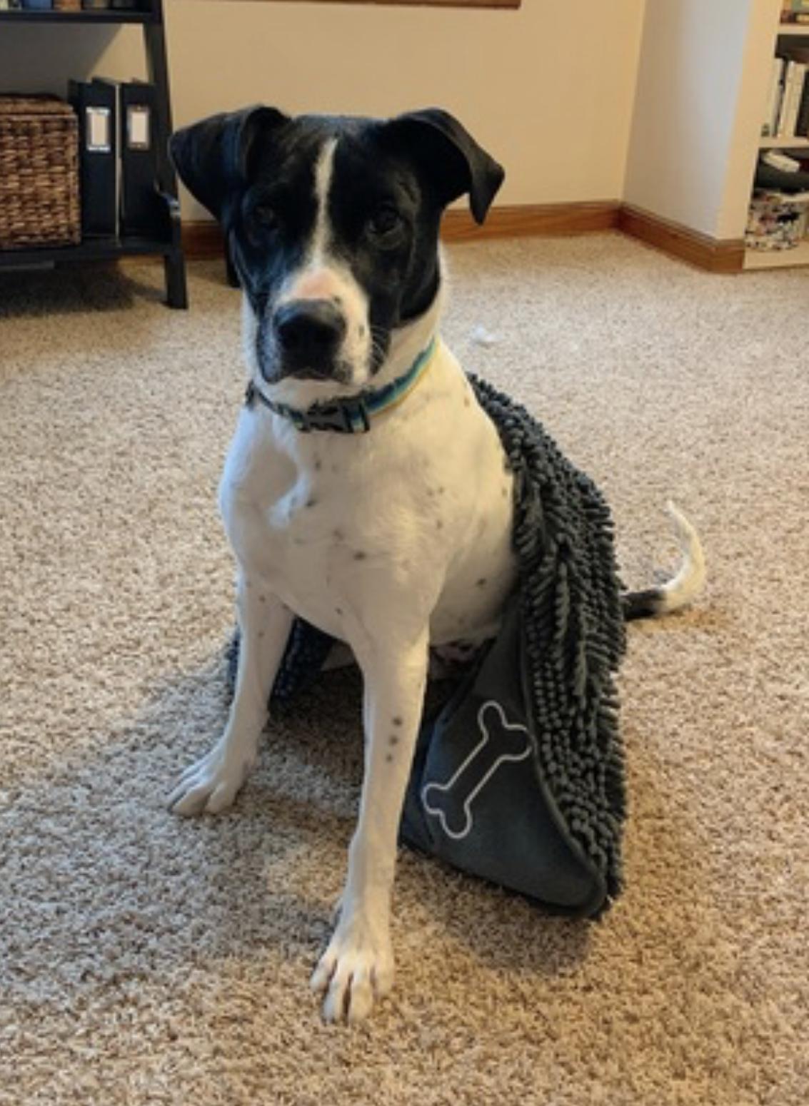 Tonks — thumbnail 4