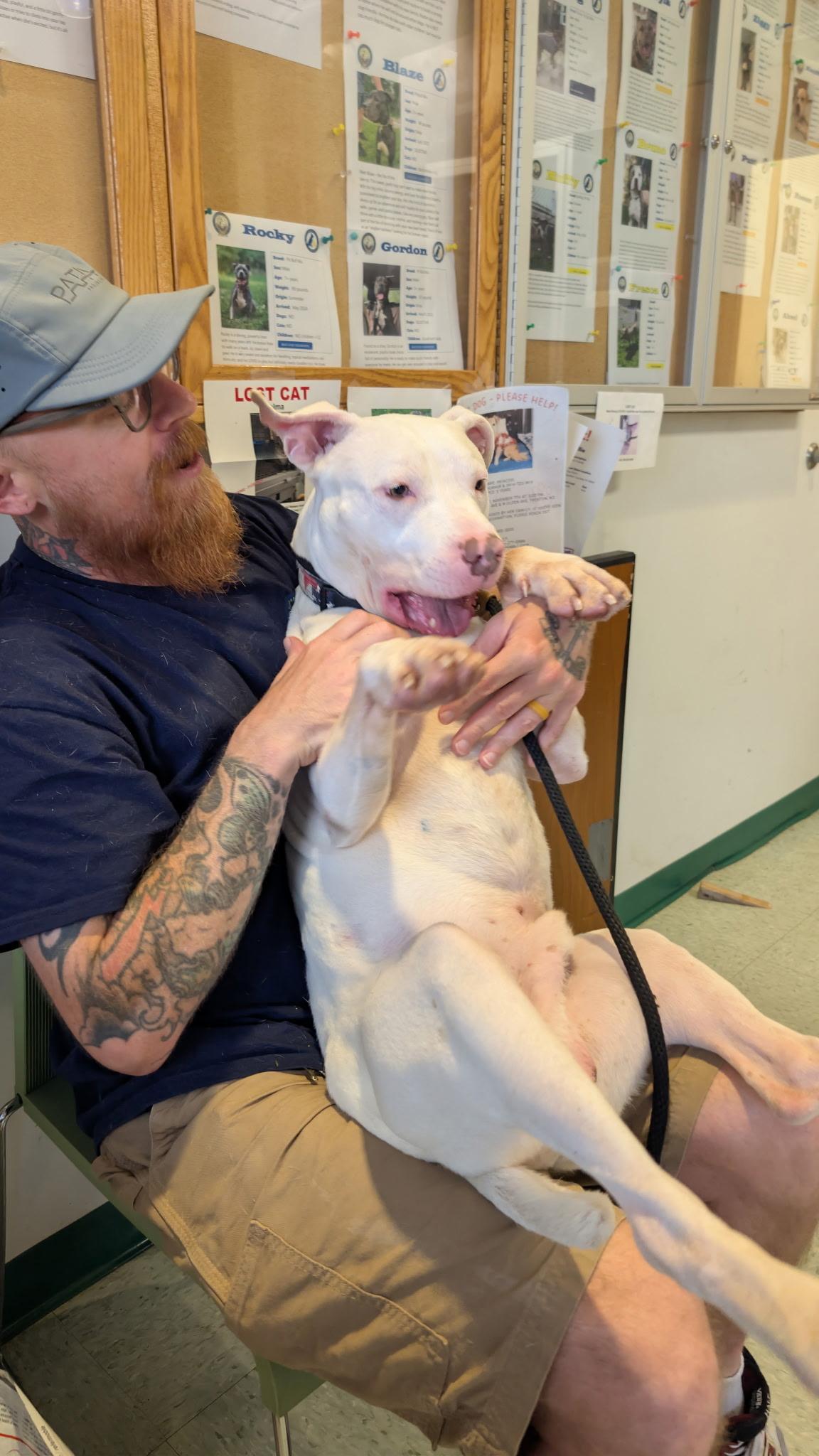 Enlarge Gridley A Loving Miracle Pup, an adopted mixed breed in Monroe Twp, NJ image 4/6