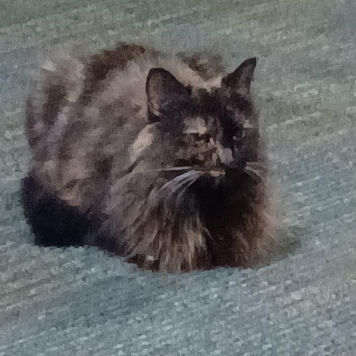 Pantera