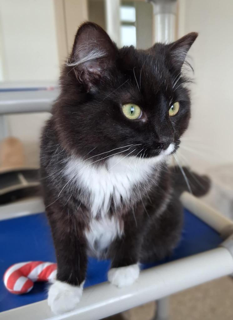 Jerry — thumbnail 2