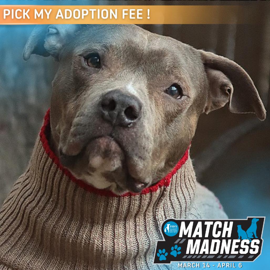 Bubba — thumbnail 2