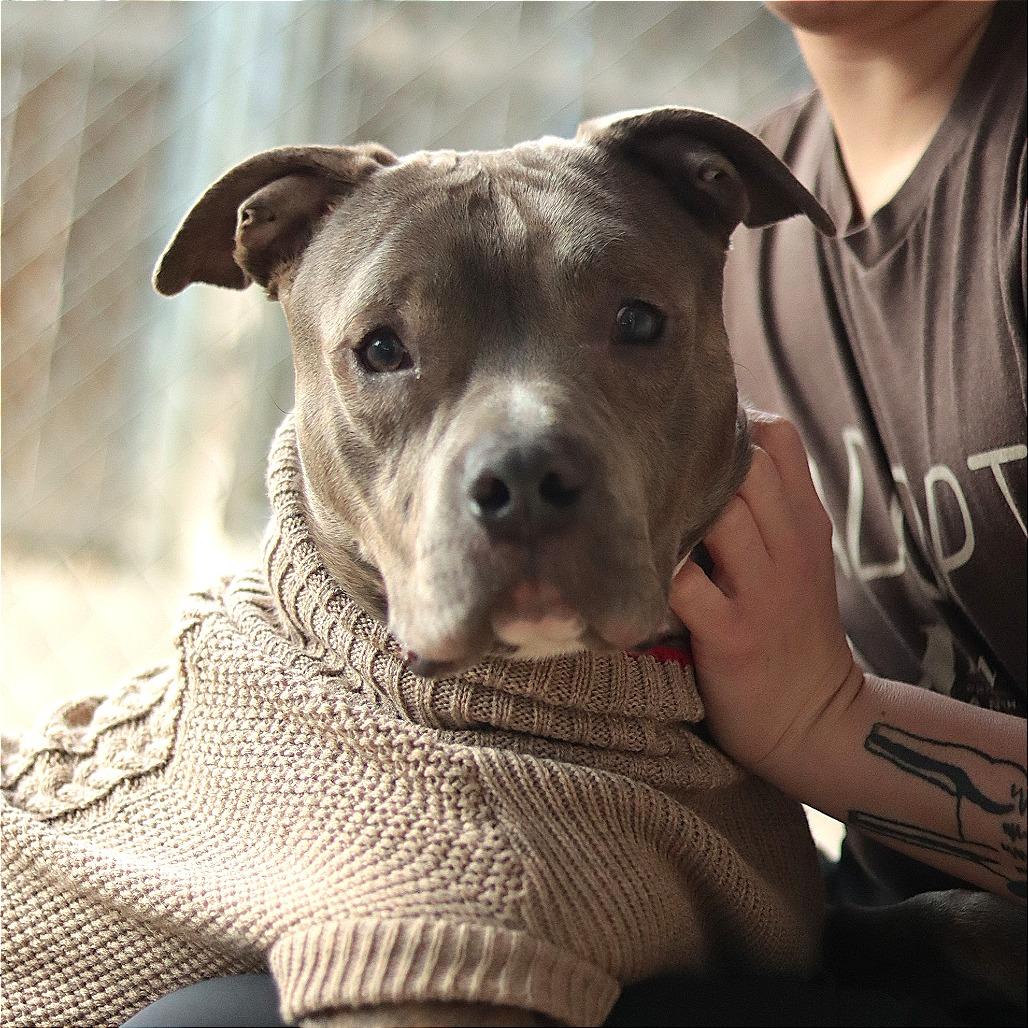 Bubba — thumbnail 4