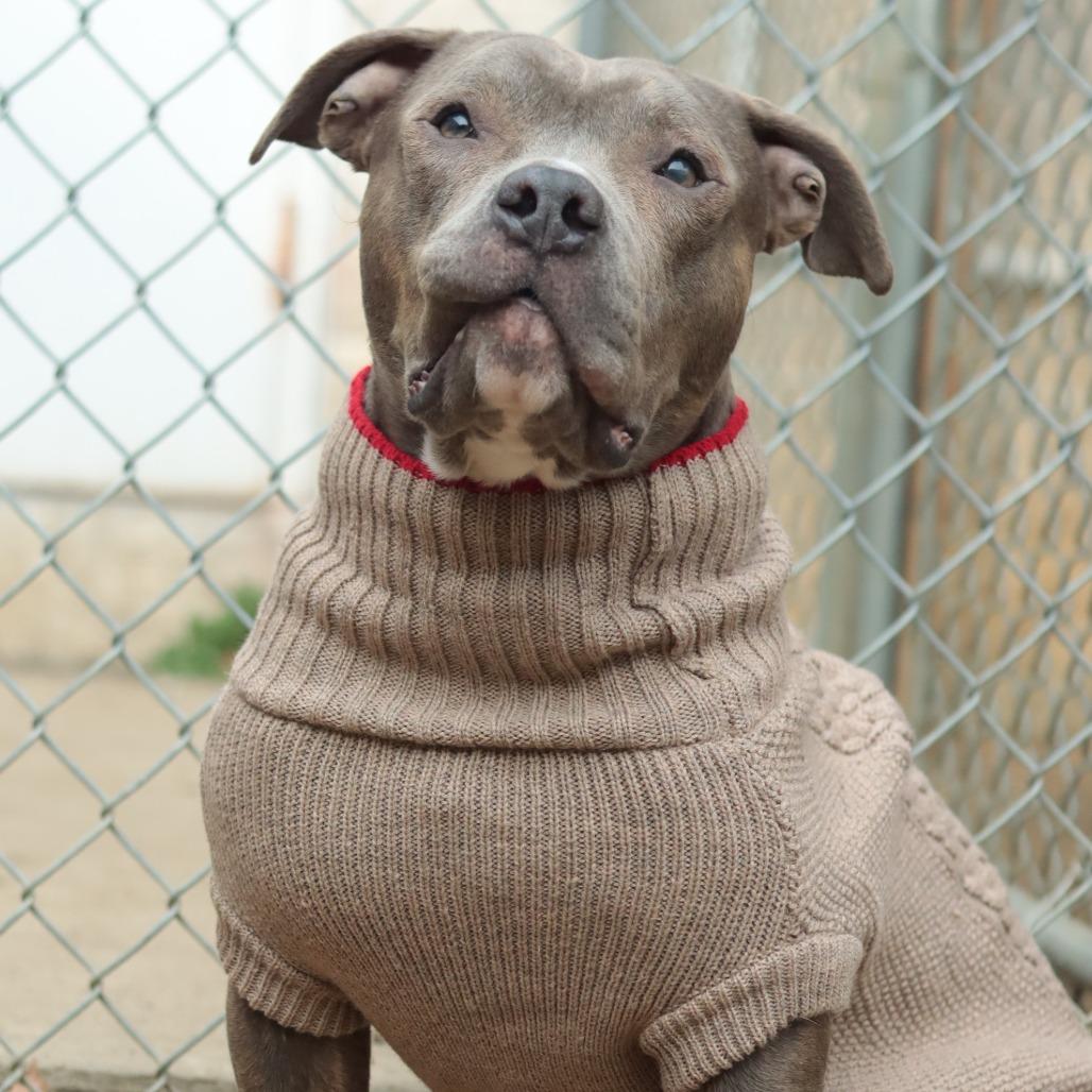 Bubba — thumbnail 5