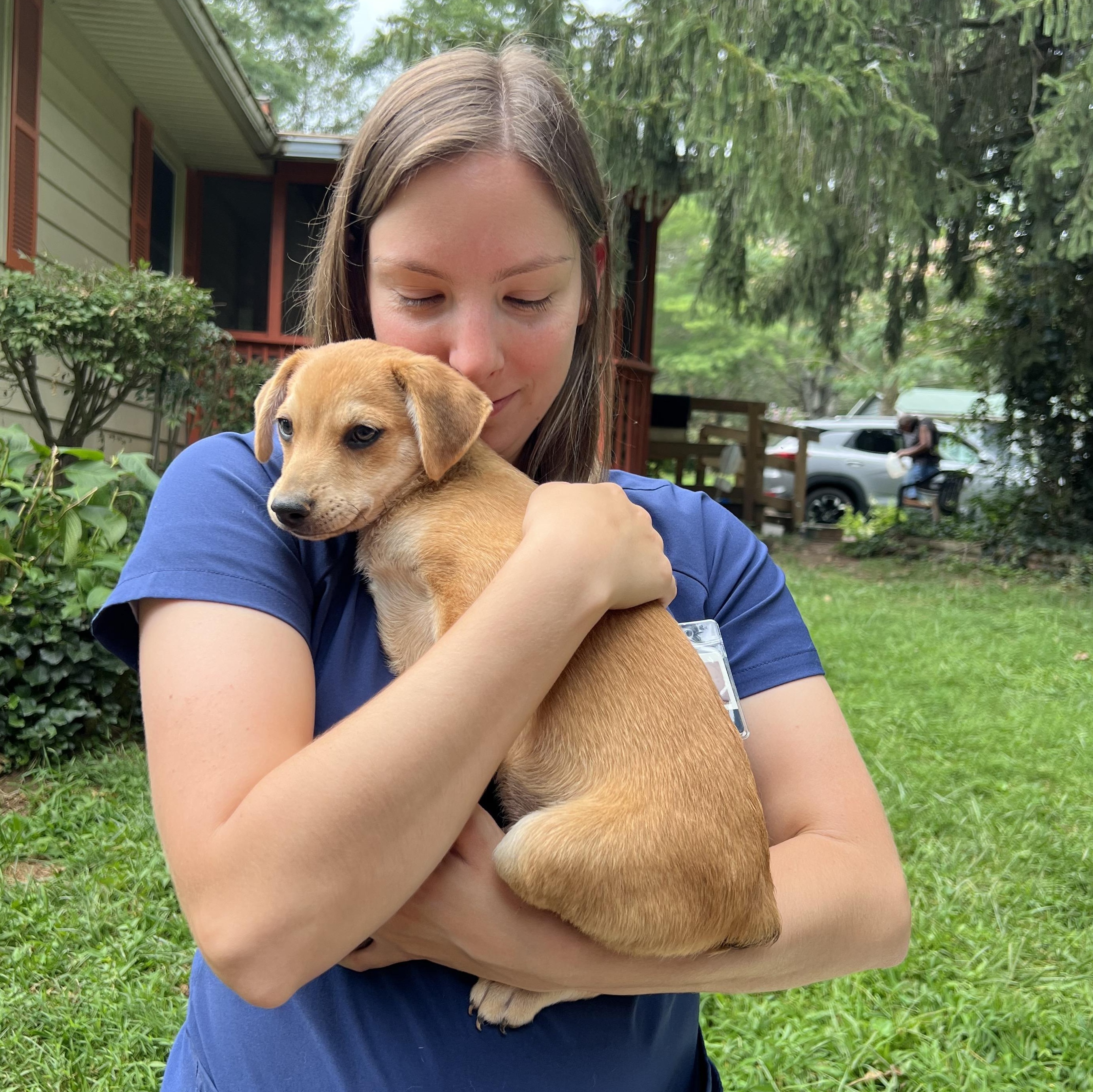 Monkey, a ADOPTABLE mixed breed in Cedar Mountain, NC image 4/5