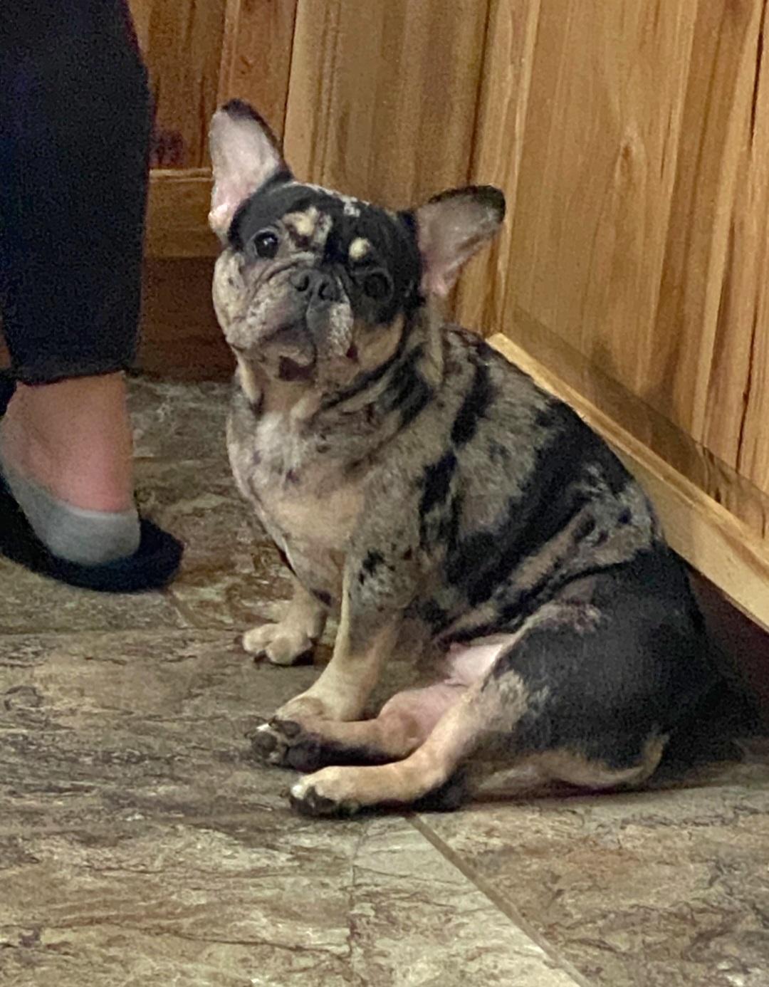 Yanko-*applications pending*??no other applications accepted ??