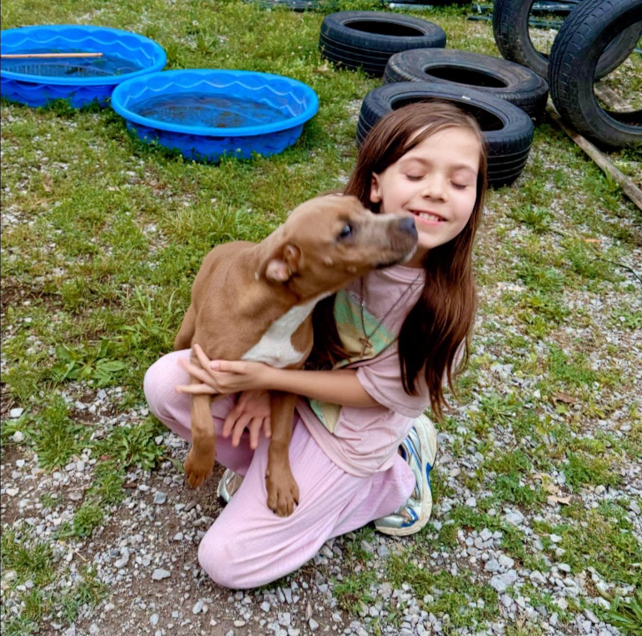 Enlarge Maya, a Adopted Pit Bull Terrier in Royalton, IL image 4/4