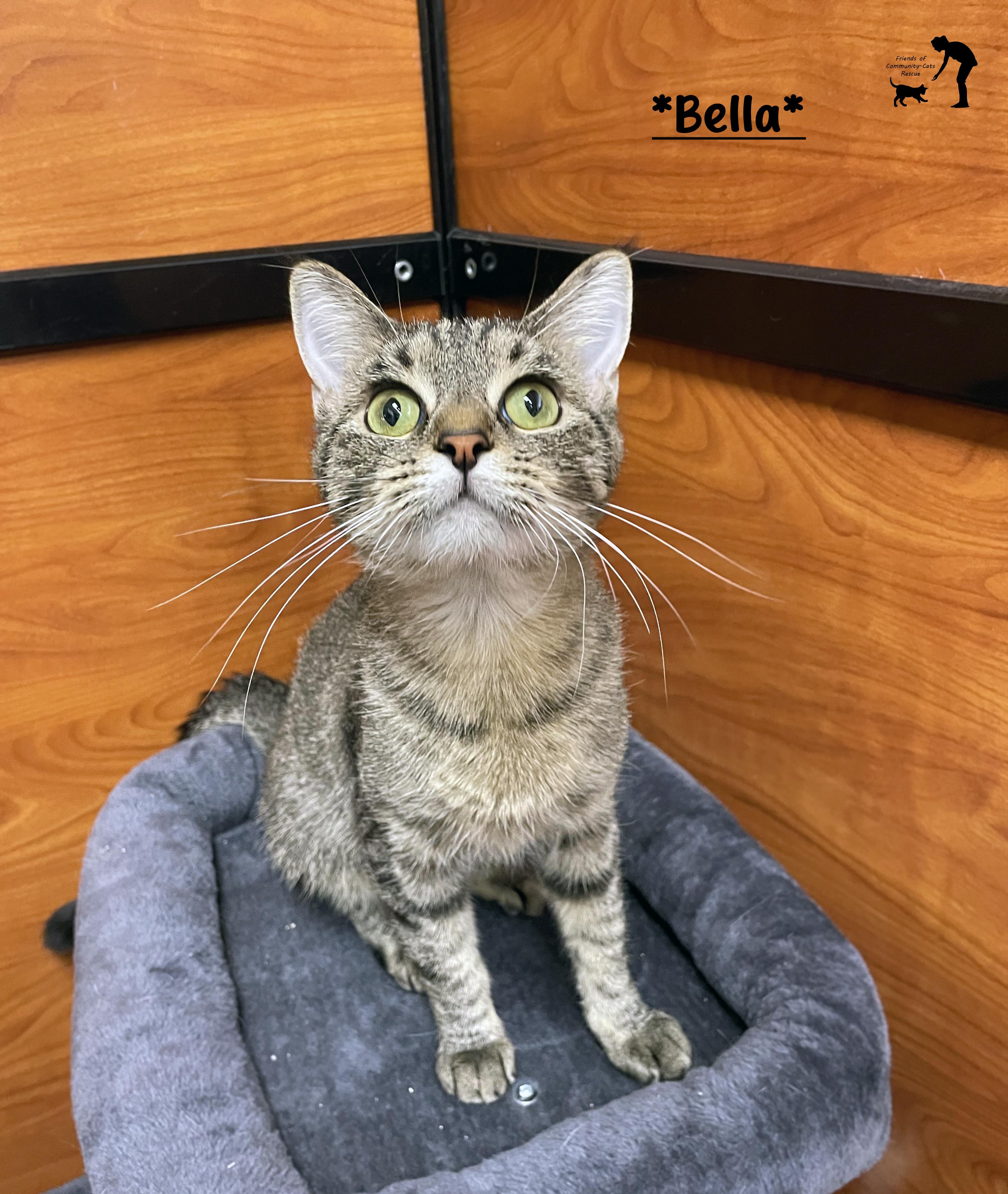 Bella