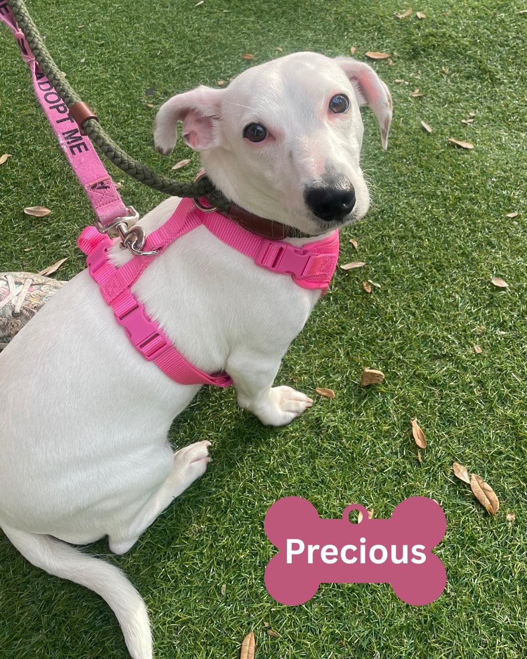 Precious