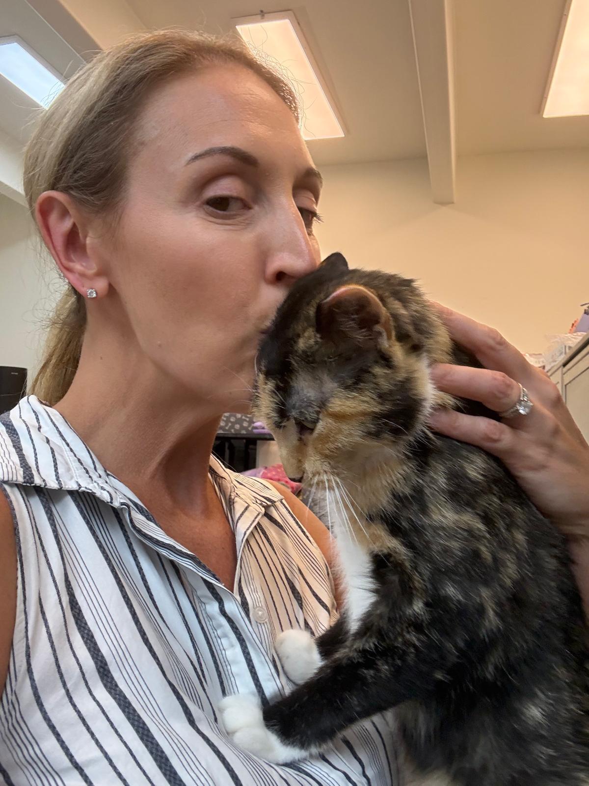 Medusa, a Adoptable mixed breed in Miami Beach, FL image 4/6