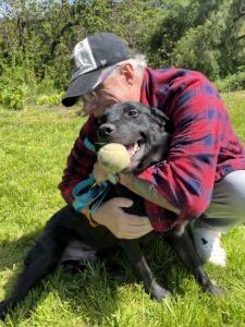 Rico, adopted, Adult Male Flat-Coated Retriever.