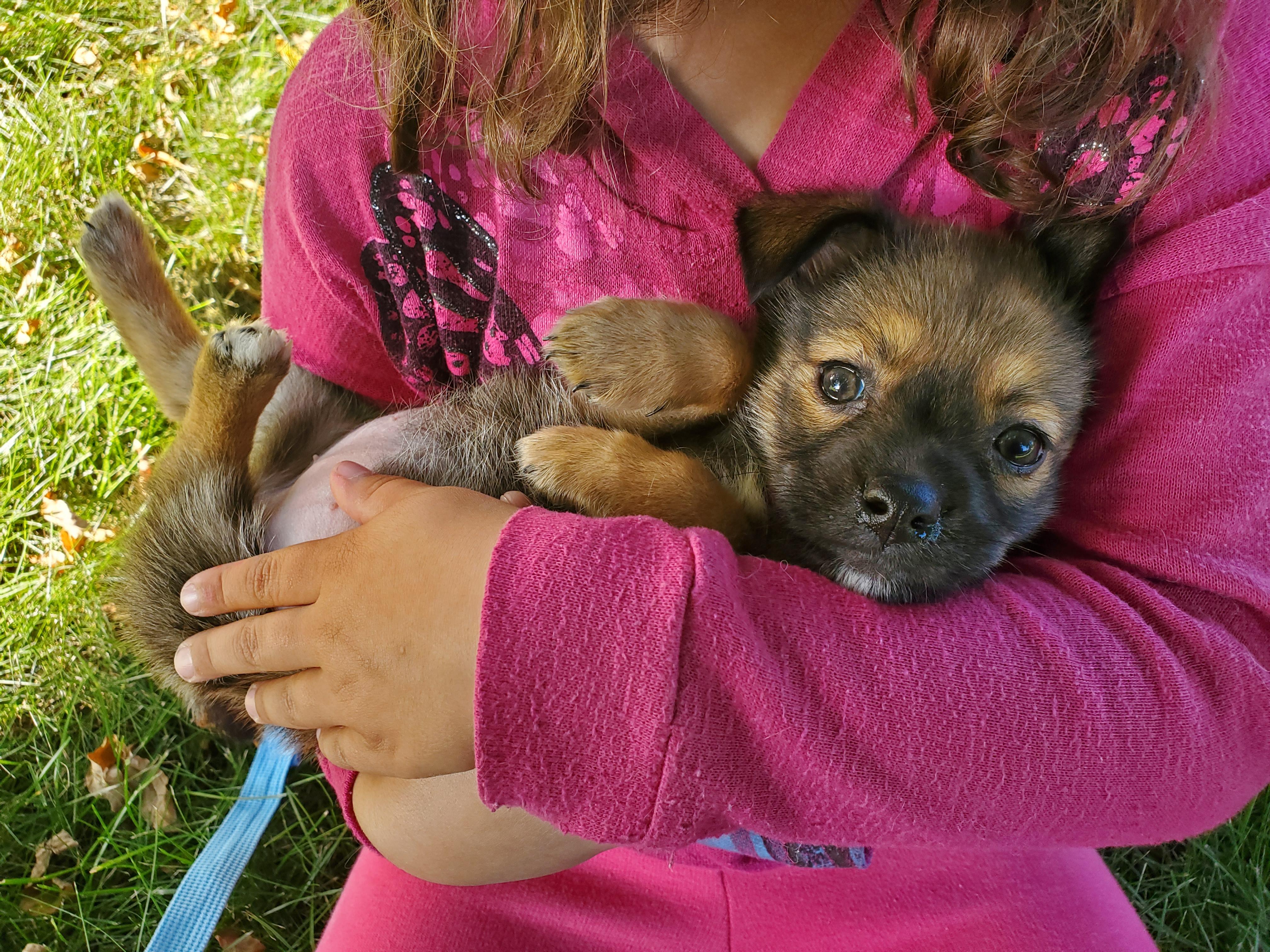 Beatrice thumbnail 4