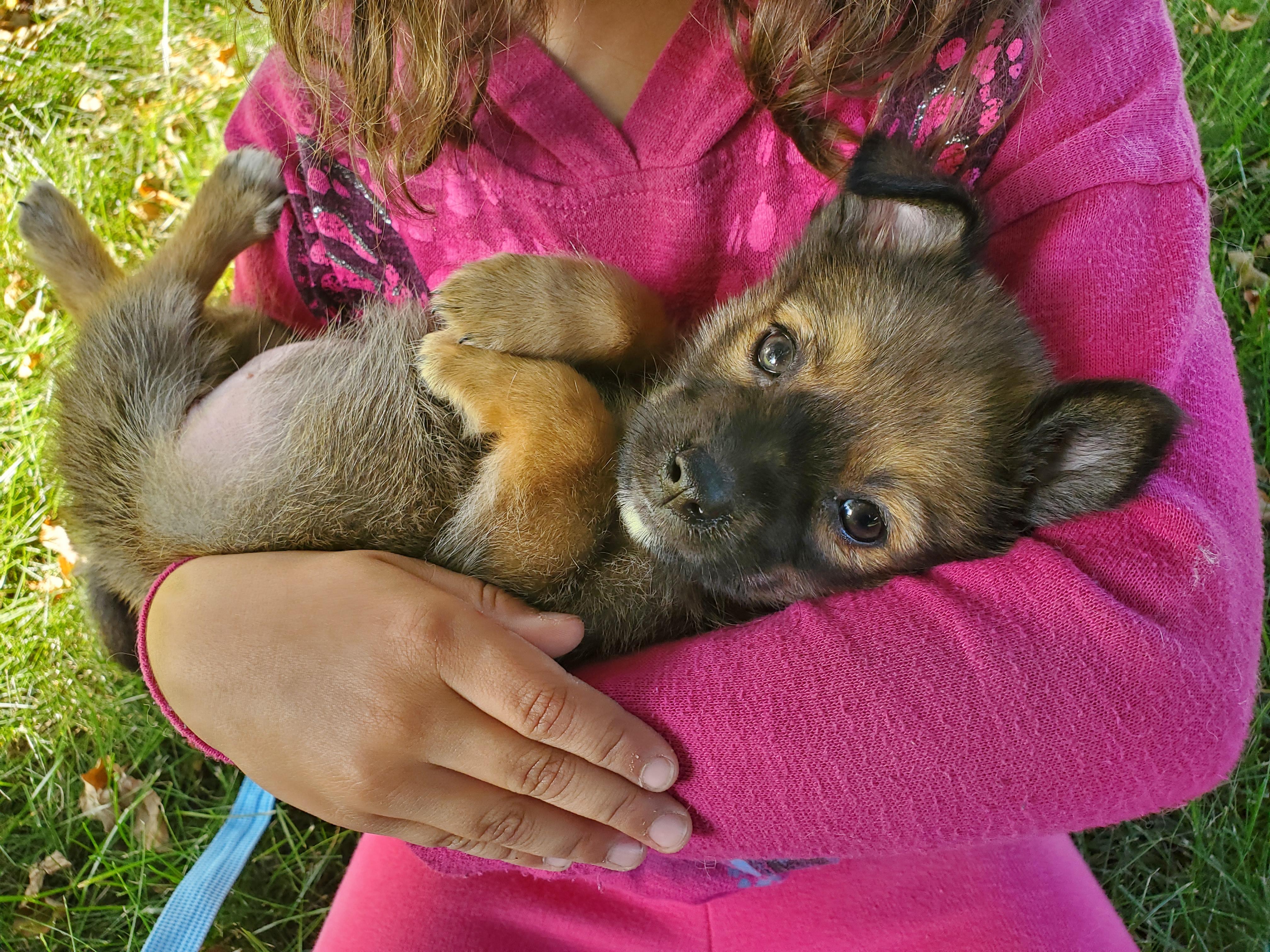 Beatrice thumbnail 3