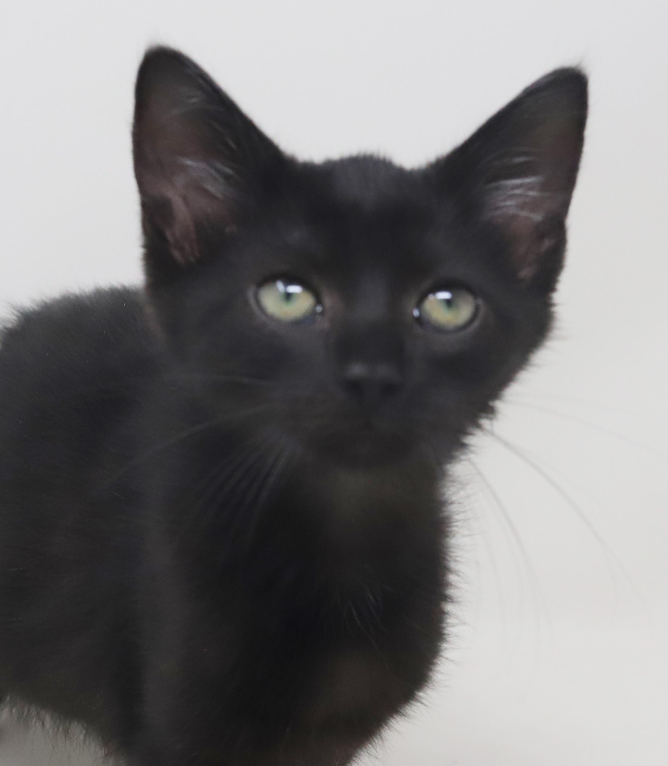 Dylan is a doll boy!  Epic name for an epic licorice boy!  VIDEO!  OLD ENOUGH TO GO SOLO