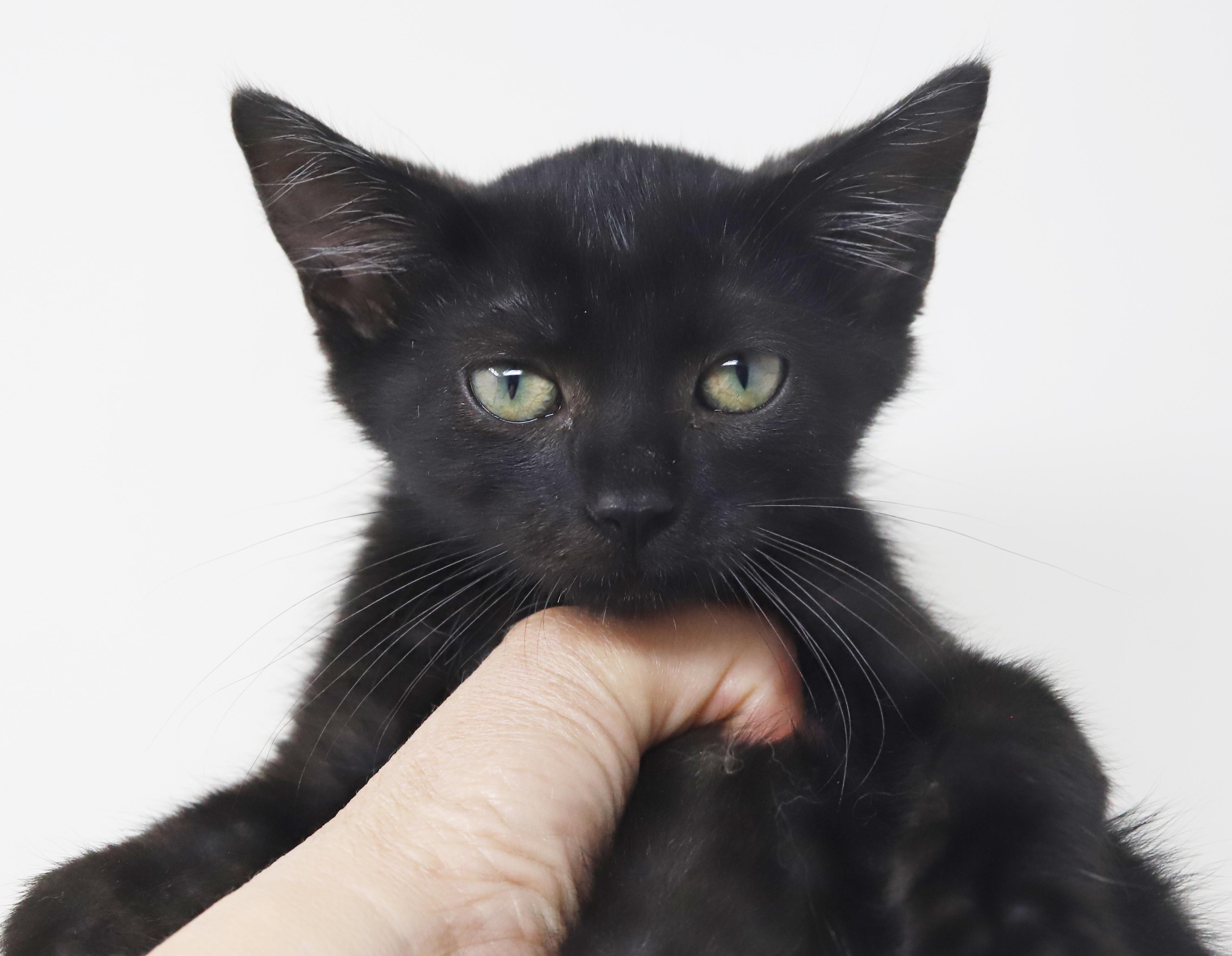 Dylan is a doll boy!  Epic name for an epic licorice boy!  VIDEO!  OLD ENOUGH TO GO SOLO