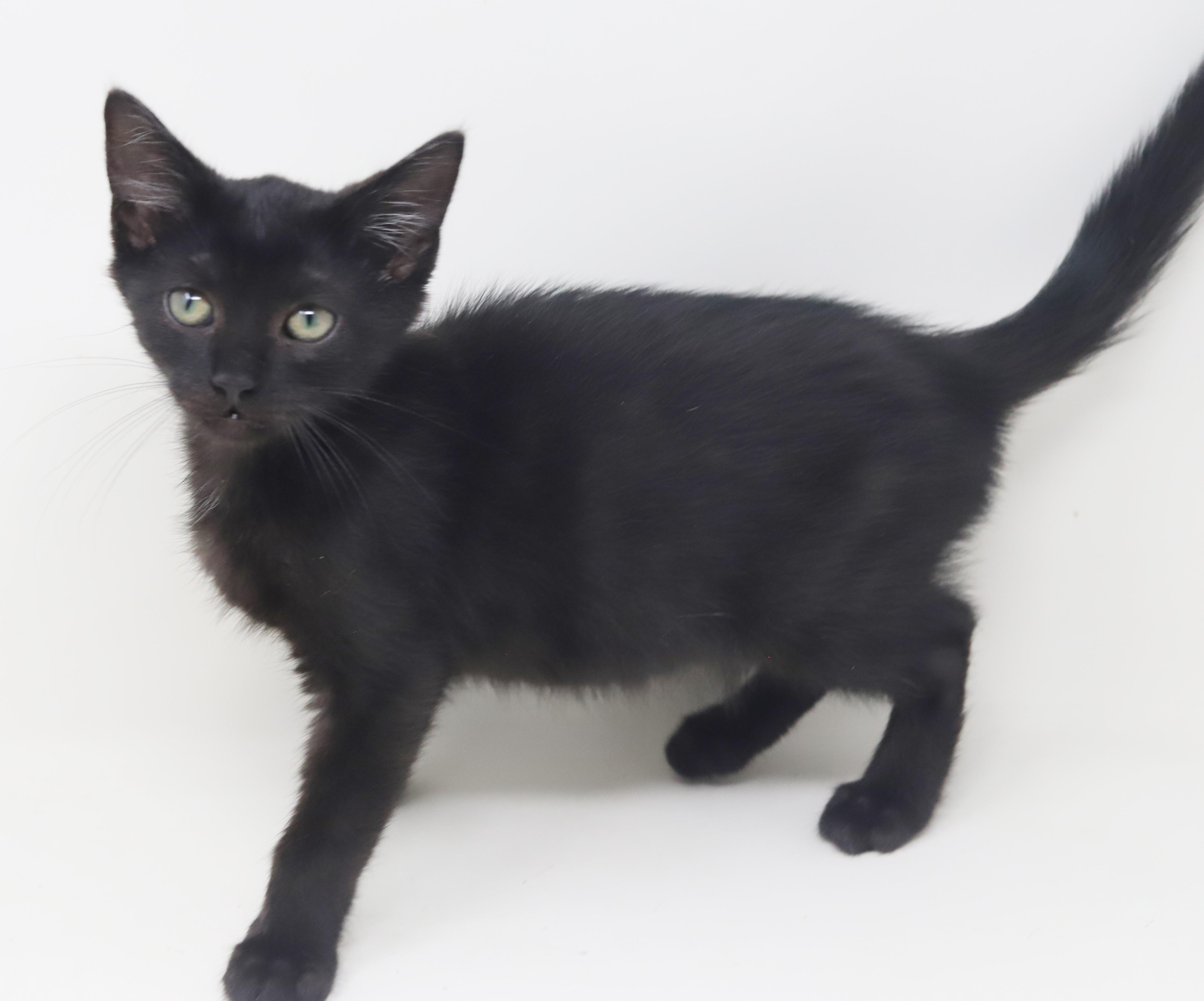 Dylan is a doll boy!  Epic name for an epic licorice boy!  VIDEO!  OLD ENOUGH TO GO SOLO