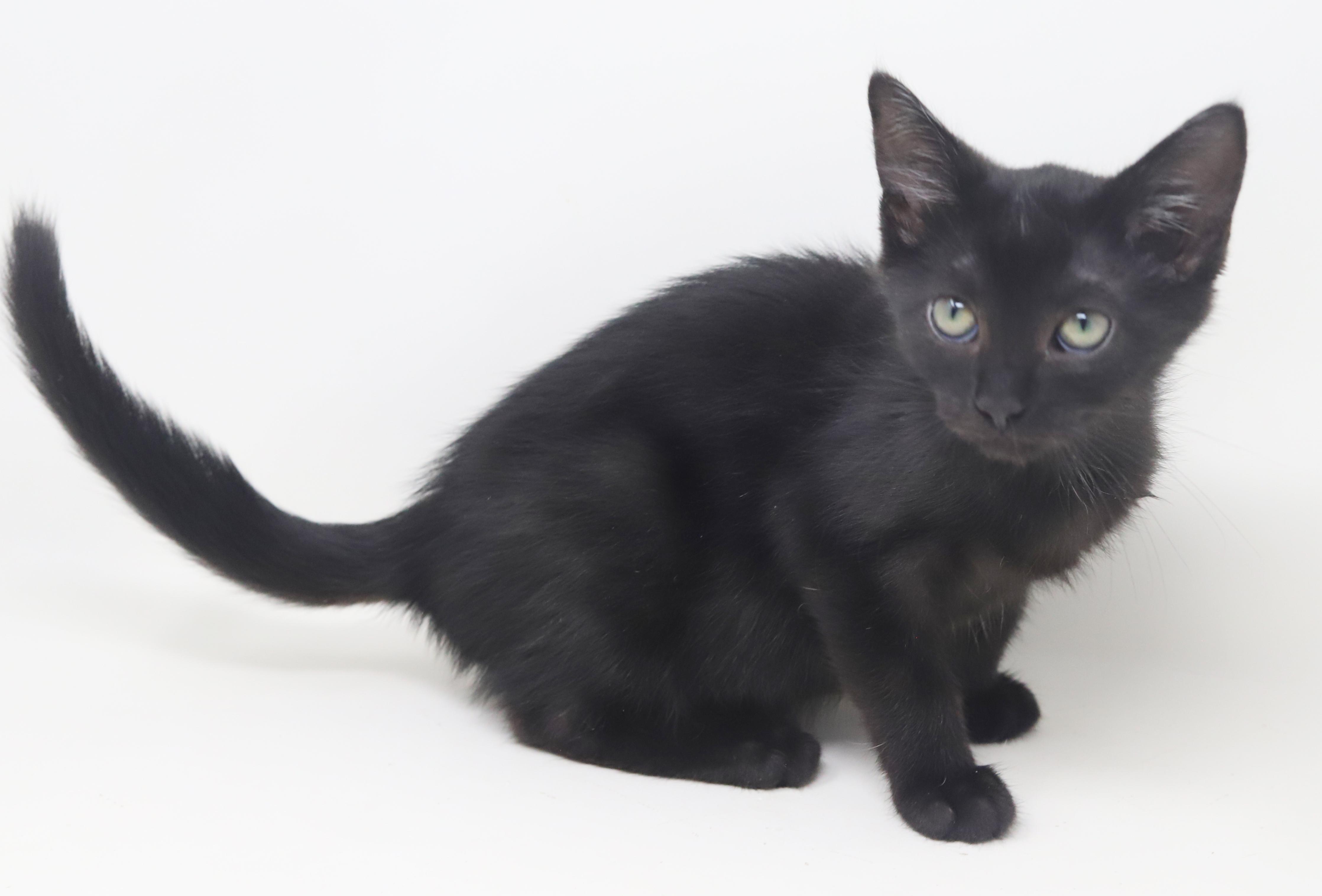 Dylan is a doll boy!  Epic name for an epic licorice boy!  VIDEO!  OLD ENOUGH TO GO SOLO