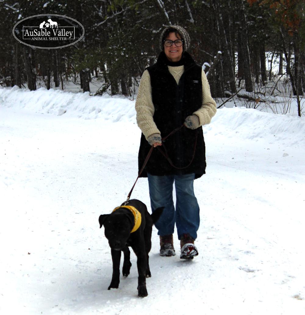 Enlarge Munster, a Adoptable Mixed Breed in Grayling, MI image 6/6