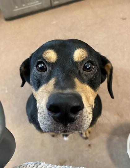 Valor — thumbnail 2