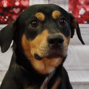 Valor — thumbnail 3